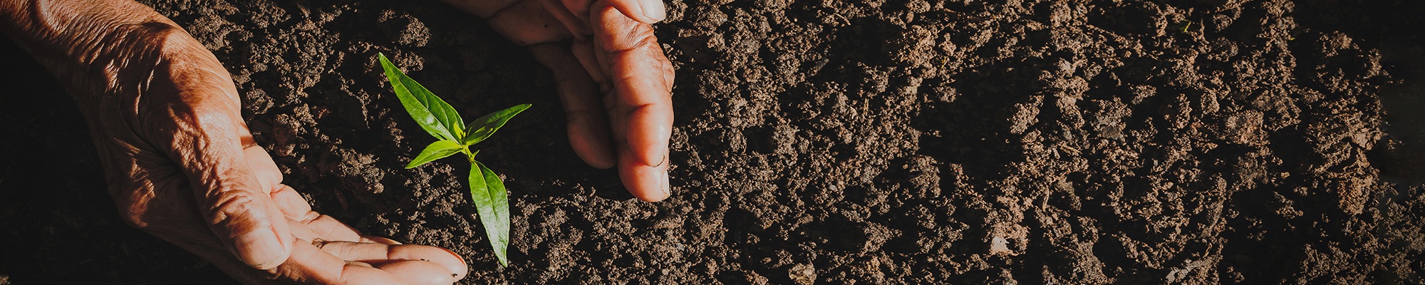 Actualités JPF Carbure